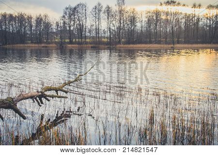 View Of The Lake In Autumn