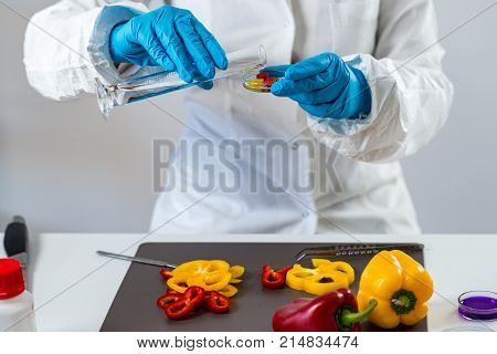 Quality Control Food Safety Inspector Working With Vegetables In A Laboratory