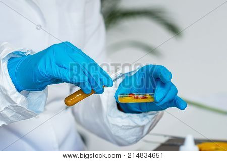 Quality Control Food Safety Inspector Working With Vegetables In A Laboratory