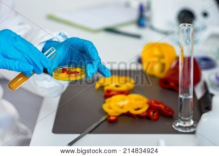 Quality Control Food Safety Inspector Working With Vegetables In A Laboratory
