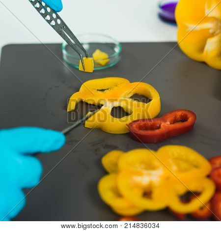 Quality Control Food Safety Inspector Working With Vegetables In A Laboratory