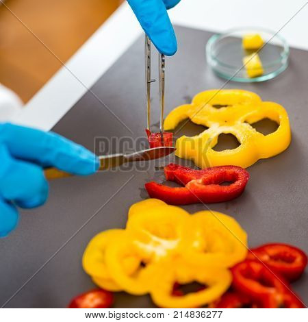 Quality Control Food Safety Inspector Working With Vegetables In A Laboratory