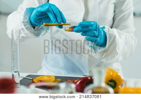 Quality Control Food Safety Inspector Working With Vegetables In A Laboratory