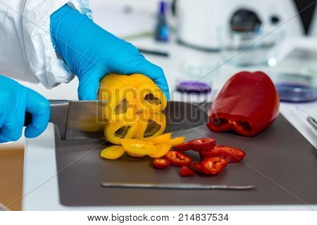 Quality Control Food Safety Inspector Working With Vegetables In A Laboratory