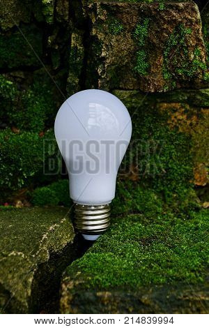 A white light bulb is in the crack between the stones covered with green moss
