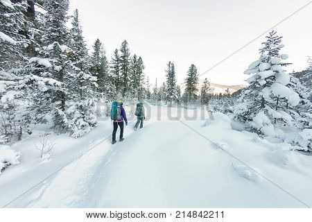 Two Happy Women Traveler With Backpacks Walking In Winter Forest