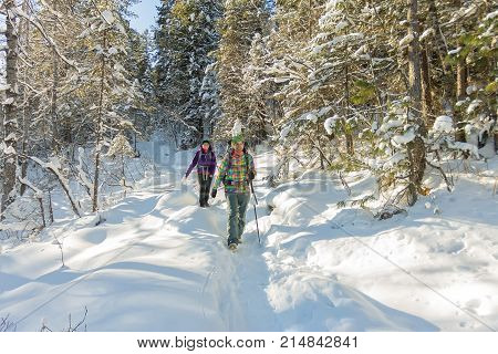 Two Happy Women Traveler With Backpacks Walking In Winter Forest