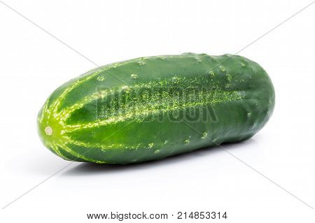 Whole green cucumber isolated on white background