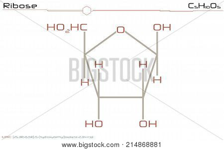 Large and detailed illustration of the molecule of Ribose