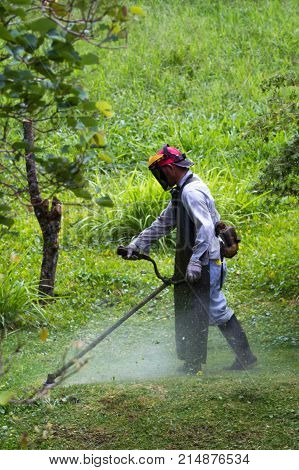Mowing In Costa Rica