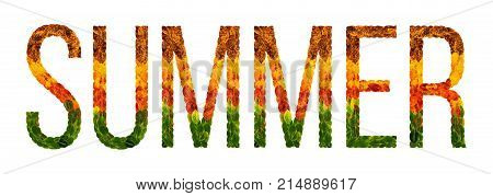 summer word is written with leaves white isolated background