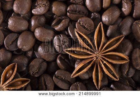 star anise, on the background of coffee with beautiful highlights on the surface of grains.