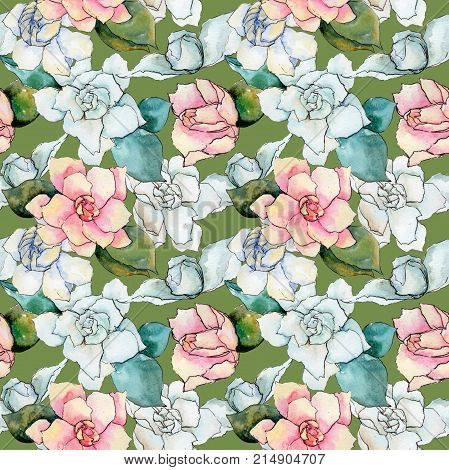Wildflower gardenia flower pattern in a watercolor style. Full name of the plant: gardenia . Aquarelle wild flower for background, texture, wrapper pattern, frame or border.