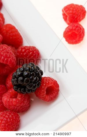 Bacche fresche