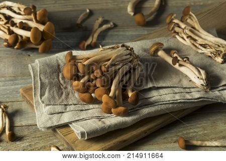 Raw Brown Pioppini Mushrooms