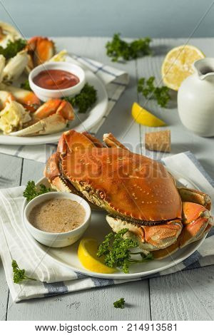 Fresh Caught Dungeness Crab