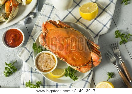 Fresh Caught Dungeness Crab