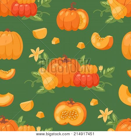 Pumpkin vegetable vector organic healthy autumn food delicious harvest time seasona orange pumpkin cartoon illustration.
