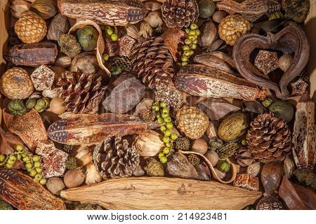 Christmas potpourri background. Traditional xmas decoration of pinecones nuts and berries. Pot pourrii laid out as a seasonal backdrop.