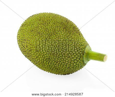 Jackfruit isolated on white background Jackfruit isolated on white