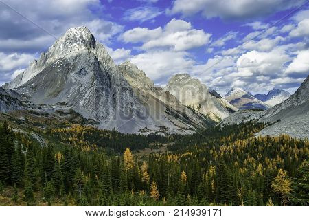 Burstall Pass in Kananaskis Country on a fall day