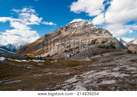 Burstall Pass in Kananaskis Country on a fall day