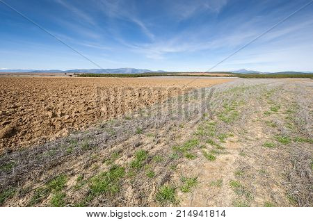 Ploughed and stubble fields in an agricultural landscape in Guadalajara Province Spain