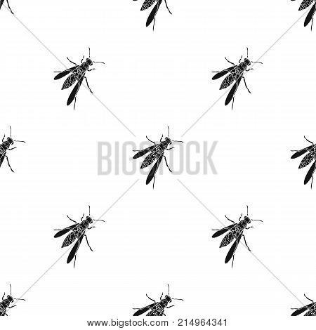 Wasp, hymenopteran insect.Wasp, stinging insect single icon in black style vector symbol stock isometric illustration .