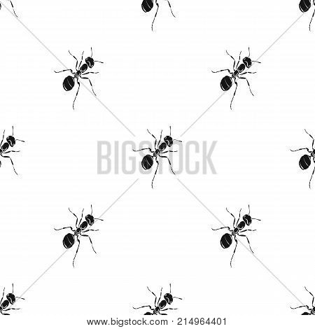 The hymenopteran insect is an ant.Arthropod animal ant single icon in black style vector symbol stock isometric illustration .
