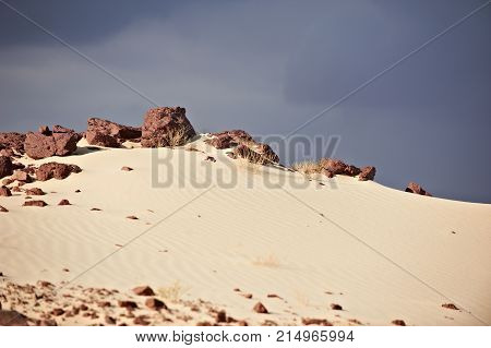 Valley in the Sinai desert with sand dunes and sky