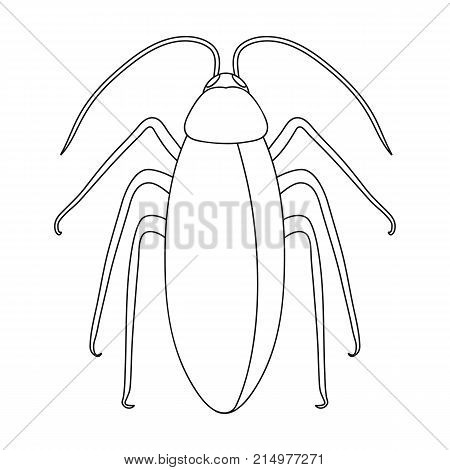 Insect cockroach single icon in outline style for design.Pest Control Service vector symbol stock illustration .