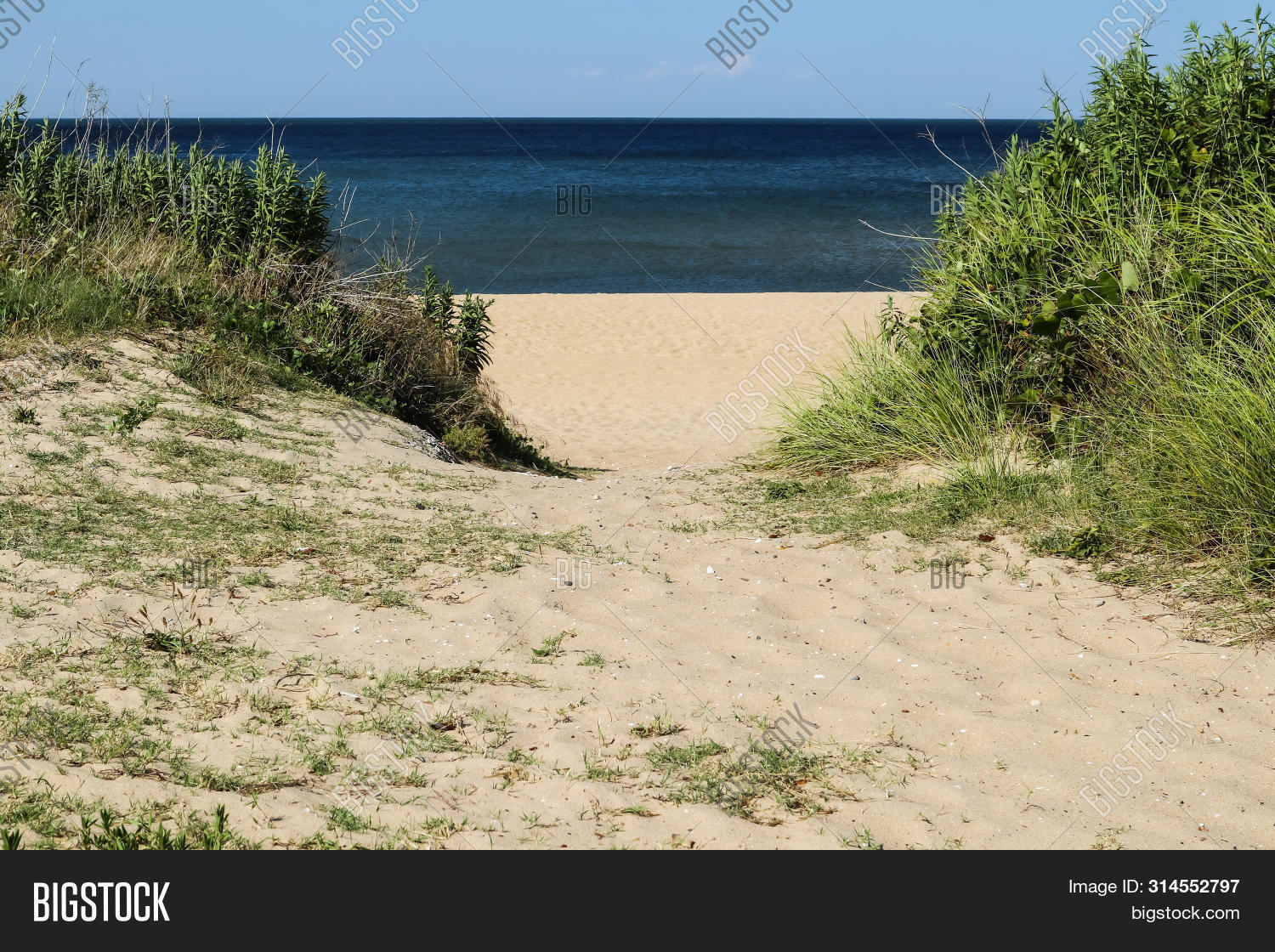 Pathway Beach Ocean Image Photo Free Trial Bigstock