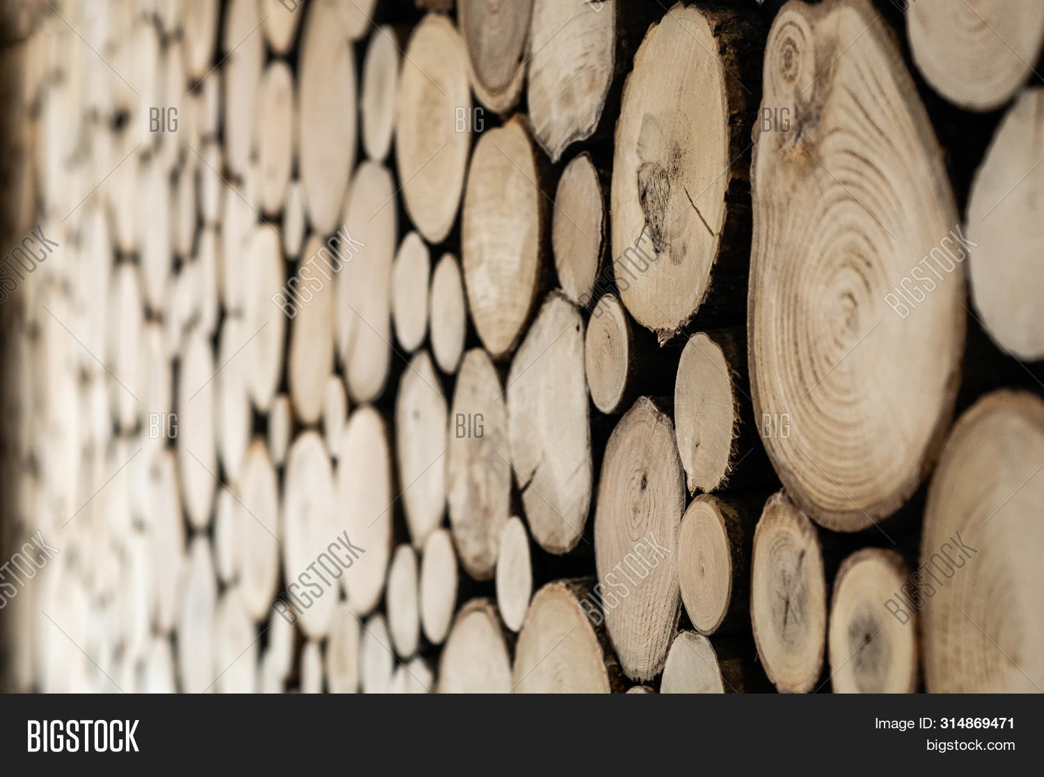 ภาพและภาพถ่าย (ทดลองใช้ฟรี) | Bigstock