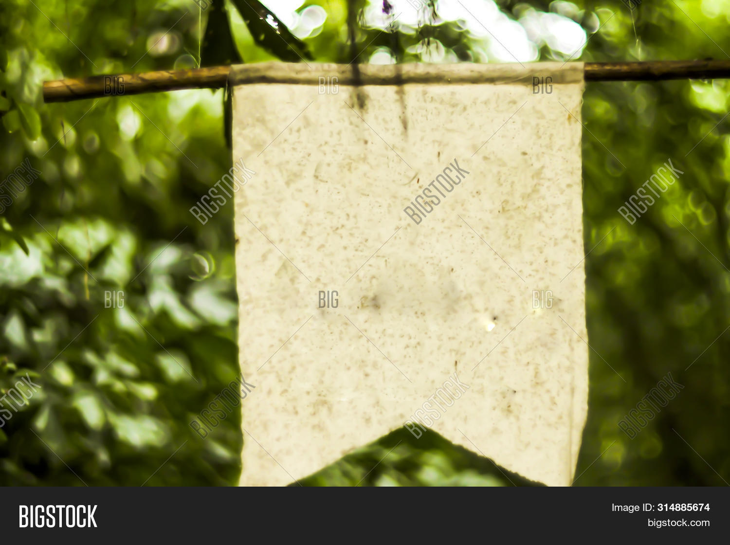 White Pennant Flag Image & Photo (Free Trial) | Bigstock