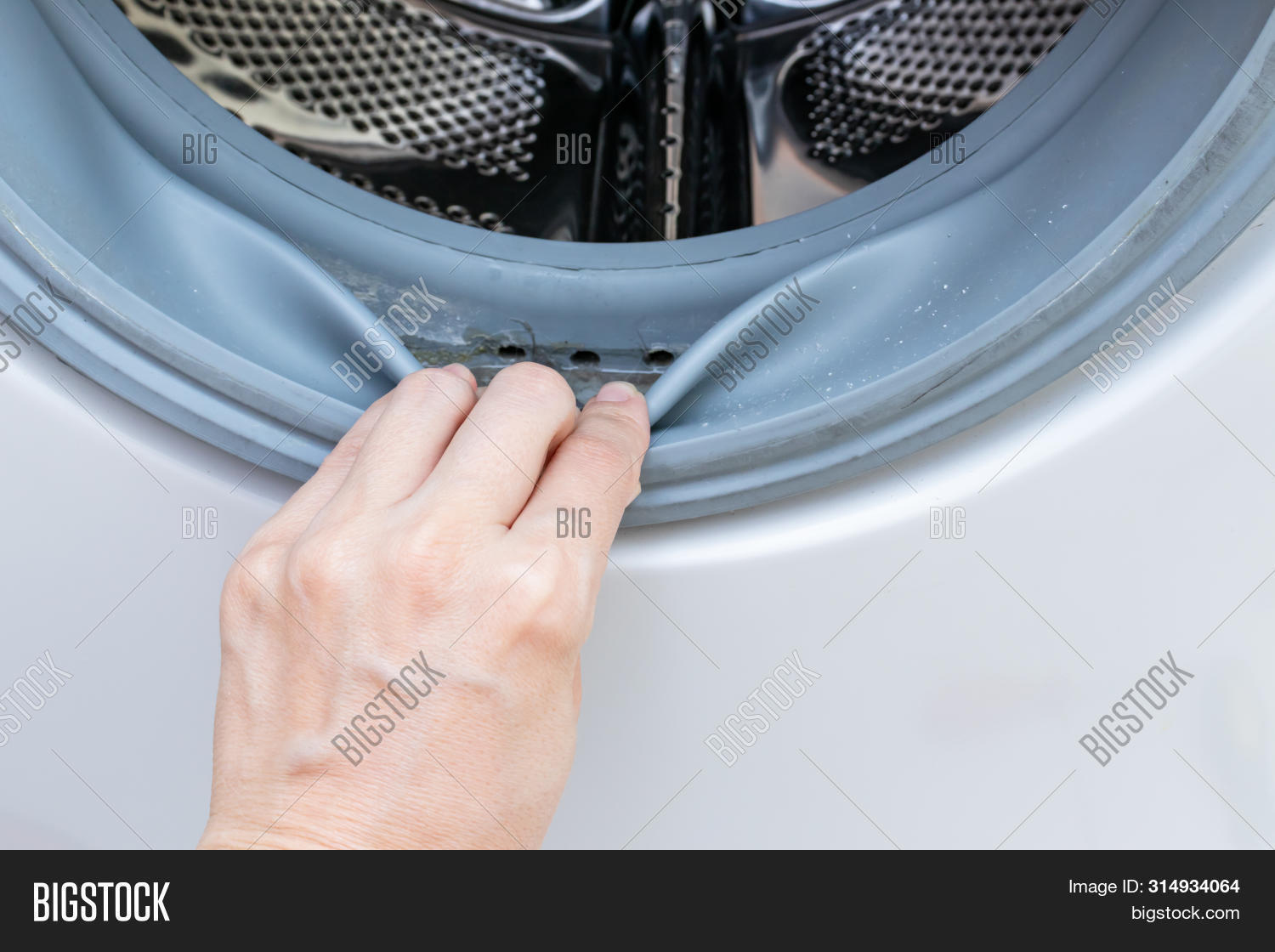 Dirty Moldy Washing Image & Photo (Free Trial) Bigstock