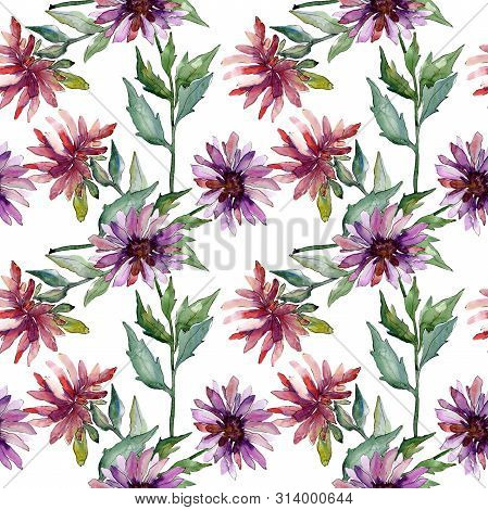 Aster Floral Botanical Flowers. Watercolor Background Illustration Set. Seamless Background Pattern.