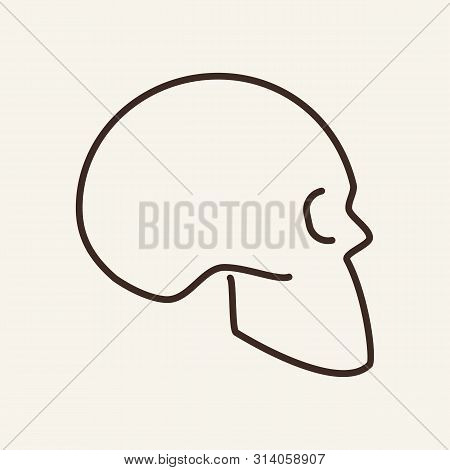 Skull Vector Line Icon. Body, Halloween, Attribute. Holiday Concept. Vector Illustration Can Be Used