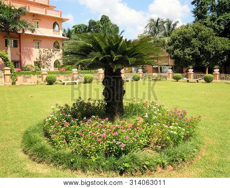A Beautiful Scene Of  Green Plants And Trees With Various Colored Flowers In A Outdoor. It Is In The