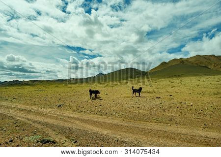 Mountain Plateau In The Area Zavkhan River