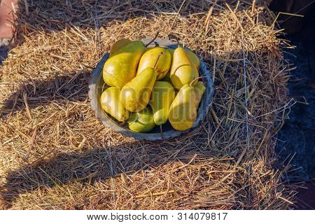 Pears In A Copper Bowl On A Hay Background