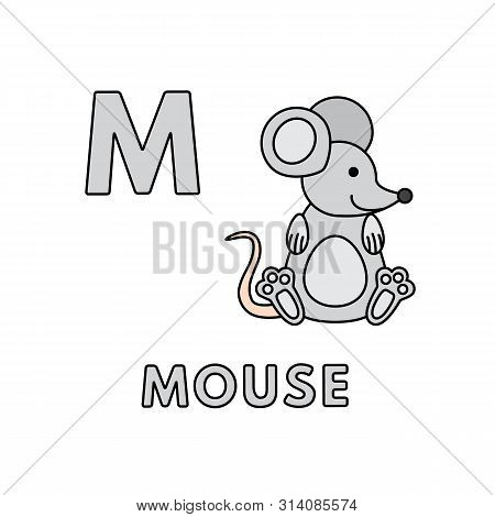 Alphabet With Cute Cartoon Animals Isolated On White Background. Flashcard For Children Education. V