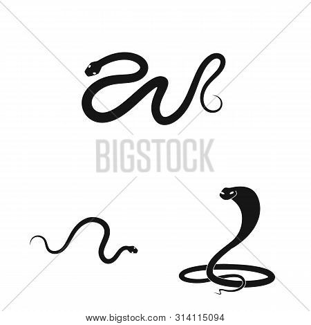 Vector Design Of Nature And Medicine Symbol. Set Of Nature And Evil Stock Vector Illustration.