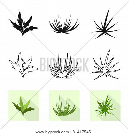 Vector Design Of Landscaping And Summer Symbol. Set Of Landscaping And Environment Stock Symbol For 