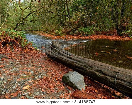 Salmon Run