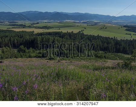 Mountain Valley With Meadow, Forest, Green Fileds And With Blue Misty Slopes Of Low Tatra Mountais I