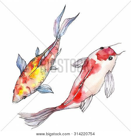 Aquatic Underwater Colorful Tropical Fish Set. Watercolor Background Set. Isolated Goldfish Illustra