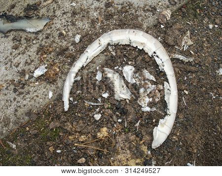 Cut Horse Hoof Keratin. Waist Of Hooves After Blacksmith Trimming.