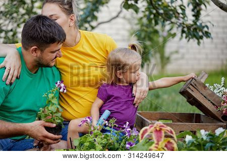 Happy Family Gardening Together And Taking Care Of Nature. Plant Sprouts And Fertilize The Ground. M