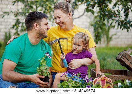 Happy Family Gardening Together And Taking Care Of Nature. Plant Sprouts And Fertilize The Ground. M
