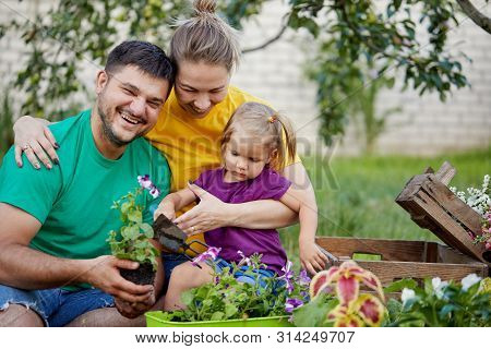 Happy Family Gardening Together And Taking Care Of Nature. Plant Sprouts And Fertilize The Ground. M